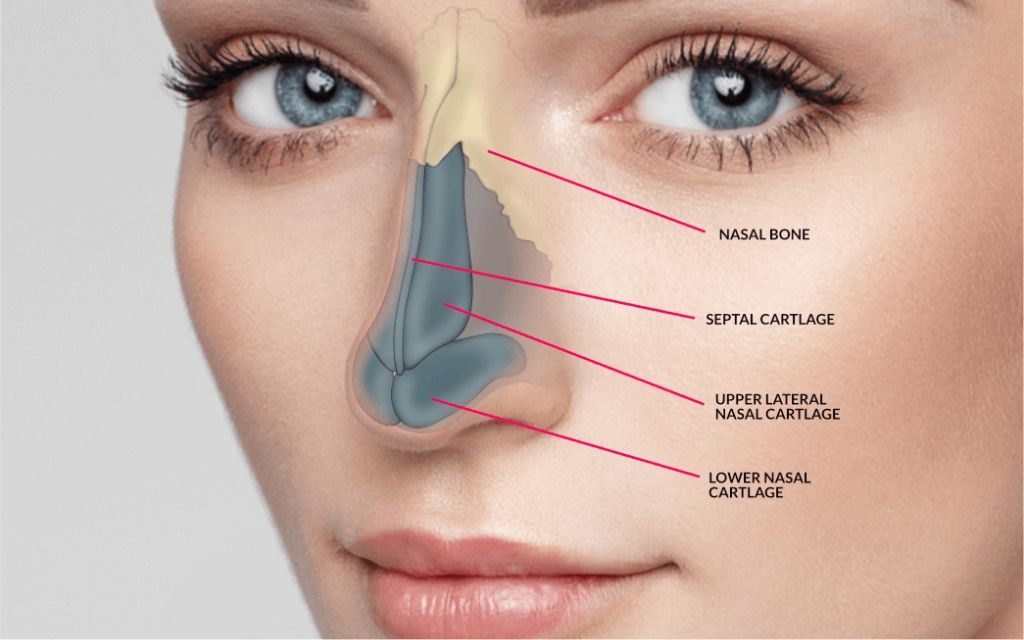 Types of Rhinoplasty Procedure