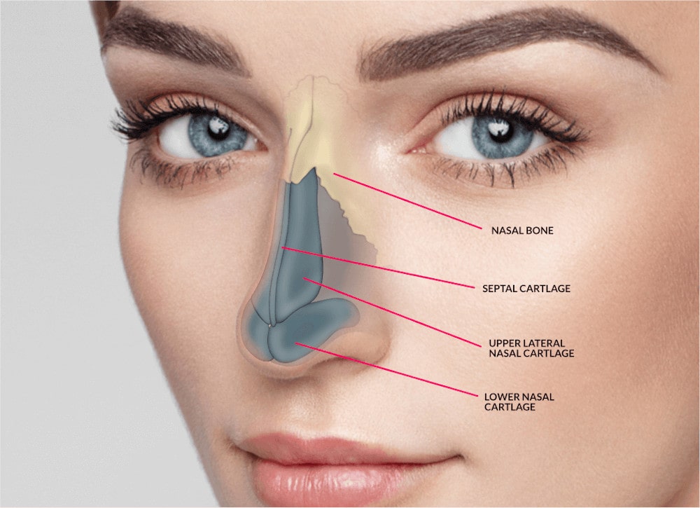 3D Imaging and Personalized Treatment Plans