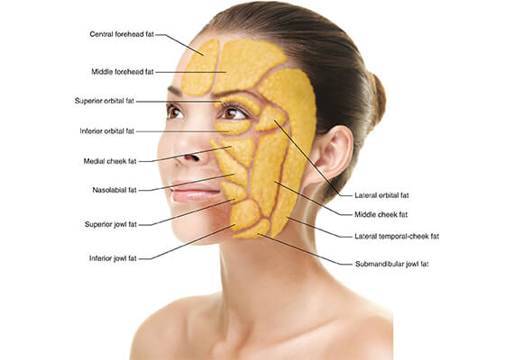 Cost of Facial Fat Grafting in Mumbai