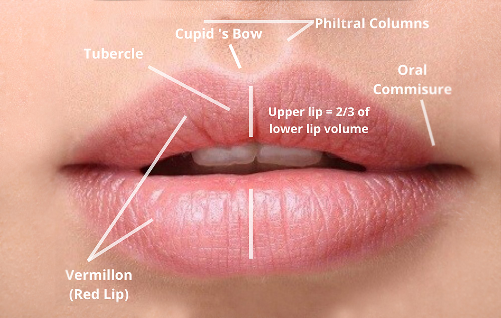 What to Consider Before Lip Augmentation